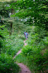Promeneurs sur un sentier de randonnée, de dos