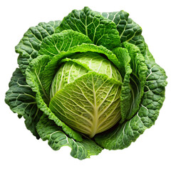 Obraz premium Fresh Savoy Cabbage: High-Resolution Food Photo