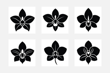 Set of orchid flower silhouette vector illustration.