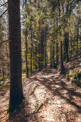 Discover Mont Blanc from the Charousse Alpages hike in Les Houches and Chamonix, in Haute-Savoie, France