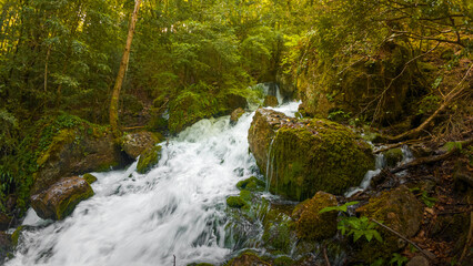 Natural landscape of the Aragonese Pyrenees in spring with pools, waterfalls and laricio pine forest along the Irués river, on the route to the Fuente de Fornos, near Badaín, Sobrarbe, Huesca.