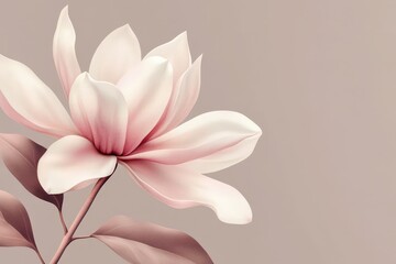 Delicate magnolia blossom in soft pastel hues.