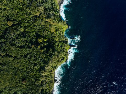 Top down aerial view of tropical lush jungle coastline