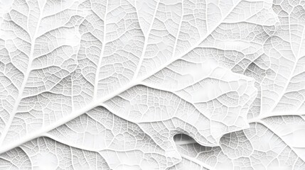 Obraz premium Intricate Leaf Vein Texture Abstract Background