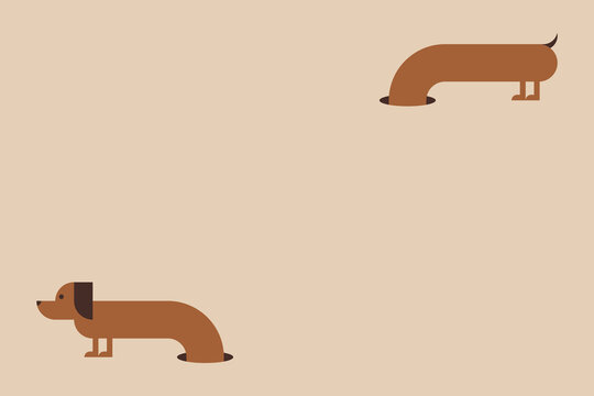 Dachshund climb through burrow