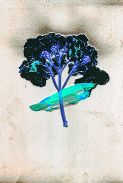 Vibrant vegetable collage on textured background