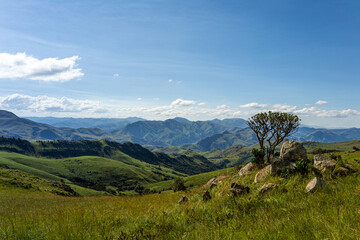 grassy rolling hills of beautiful Eswatini Africa 