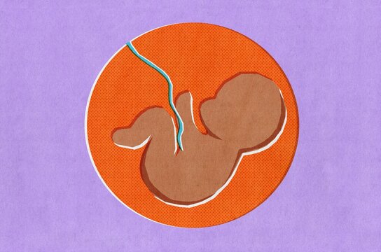 Black Baby Pregnancy 