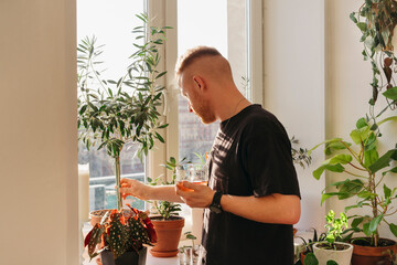 Tea Time With Sunlit Plants