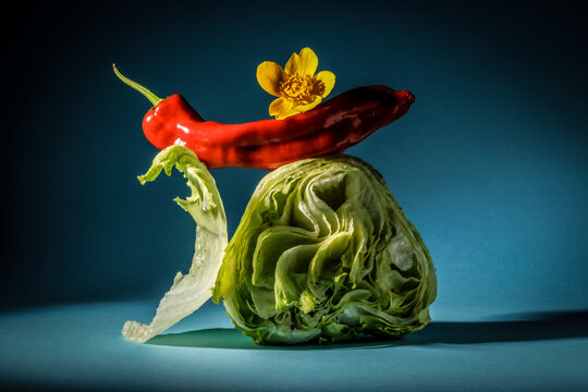 Iceberg lettuce with paprika and a yellow flower.