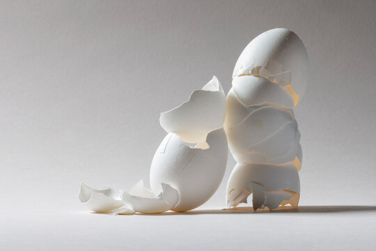 Eggshells