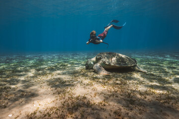 young citizen scientist monitoring green turtle