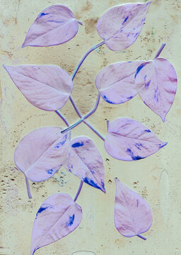 Leaves arranged artistically on a textured background