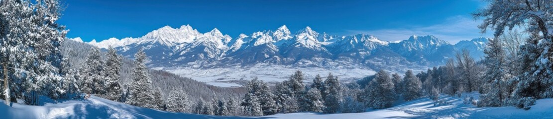 Obraz premium Snowy mountain range panorama, winter landscape, trees, clear sky