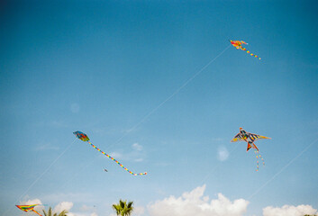 Colorful kites soar in a bright blue sky on a sunny day