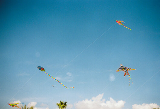 Colorful kites soar in a bright blue sky on a sunny day