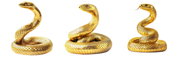 Coiled golden snake sculpture with detailed scales isolated on white transparent background, reptiles or wildlife, symbolizing Chinese Lunar New year