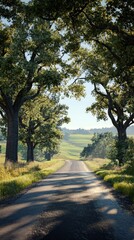 Obraz premium Sunny country road through trees, rolling hills. Ideal for travel, nature posters