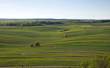 Roztocze Poland, meadow and fields landscape. countryside, rural landscape.