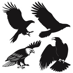 Obraz premium eagle vector set