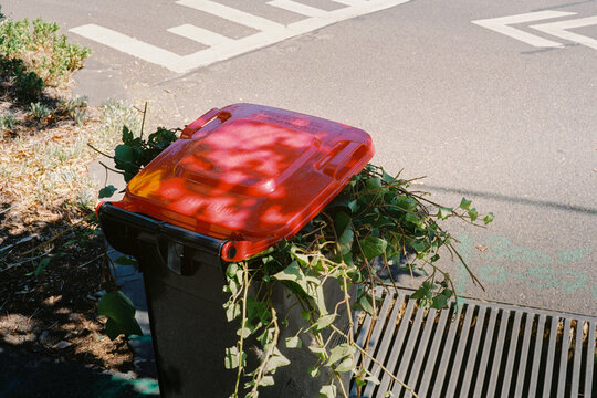 Overfilled red trash bin with plants in the streets of Melbourne