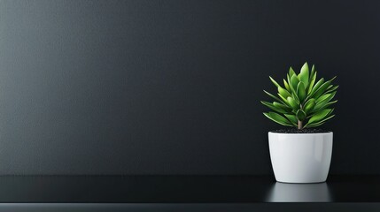 Fototapeta premium A sleek black desk featuring an all-white ceramic plant pot