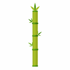 Naklejka premium bamboo isolated on white