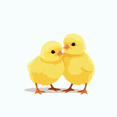 two little chicks on white background