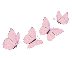 pink butterfly watercolor hand drawn design
