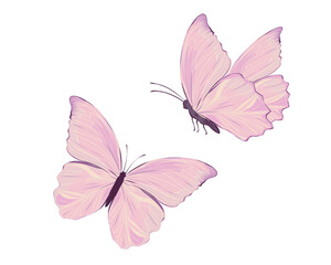 pink butterfly marcus.eps