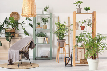Interior of light living room with armchair, shelving units and different houseplants