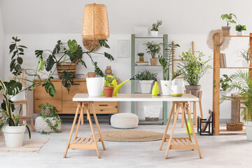 Table with gardening tools and different houseplants in light living room