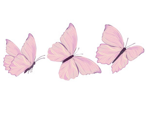 watercolor butterfly design hand drawn vector design