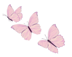 watercolor flock of pink butterfly marcus aroeilus.eps