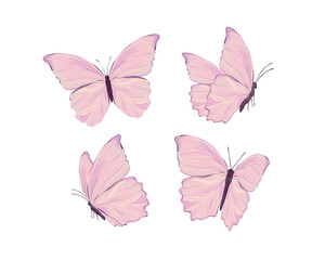 pink butterfly watercolor monarch design 