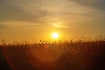 Beautiful red sunset in nature in a field with highlights