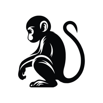 Monkey silhouette on white background