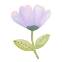 Obraz premium pink flower isolated on white