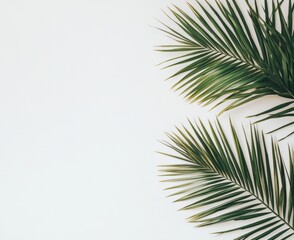 Obraz premium Vibrant Green Palm Fronds on Off White Background