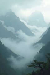 fog in the mountains
