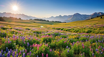 Fototapeta premium Beautiful Landscape Wildflowers Blooming Field Nature Scenery Spring Summer Meadow Flowers Vibrant