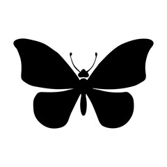 black butterfly icon
