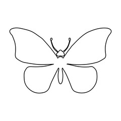 white butterfly icon