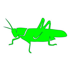 green  locust icon
