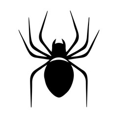 black pider icon