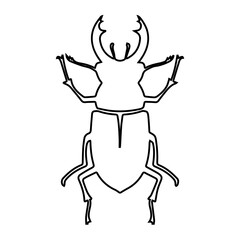 white stag beetle icon