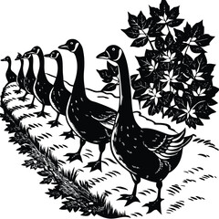 Duck silhouette set collection isolated on white background vector illustration
