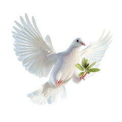 white dove in flight on a white background with an olive branch . AI Generated Images