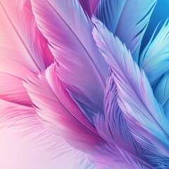 Fototapeta premium Pastel pink blue feathers, soft background, gentle texture, design element