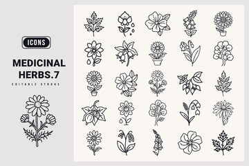 Medicinal herbs icon set. Mugwort, Blood Flower, Deadly Nightshade, Pot Marigold, Madagascar Periwinkle, Roman Chamomile, Lily-Of-The-Valley, Common Foxglove, Pale Purple Coneflower, silhouette icons.